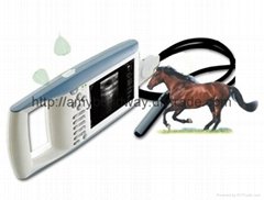 Digital Palmtop Vet Ultrasound Scanner