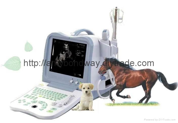 Digital Vet Portable Ultrasound Scanner 