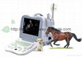 Digital Vet Portable Ultrasound Scanner