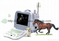 Digital Vet Portable Ultrasound Scanner 