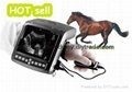 Digital Wrist-top Veterinary Ultrasound