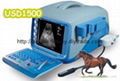 Veterinary Ultrasound Scanner Bw8J-Vet 1