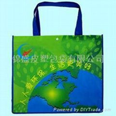 Non-woven shopping bag