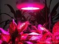 LED grow light/LED high power plant grow light/UFO Grow Lighting 1