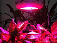 LED grow light/LED high power plant grow light/UFO Grow Lighting