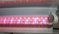 T8-18W Young Plant grow light/LED plant