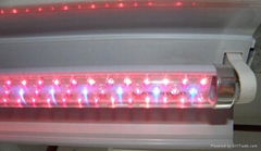 T8-18W Young Plant grow light/LED plant grow light/T8 Grow Light