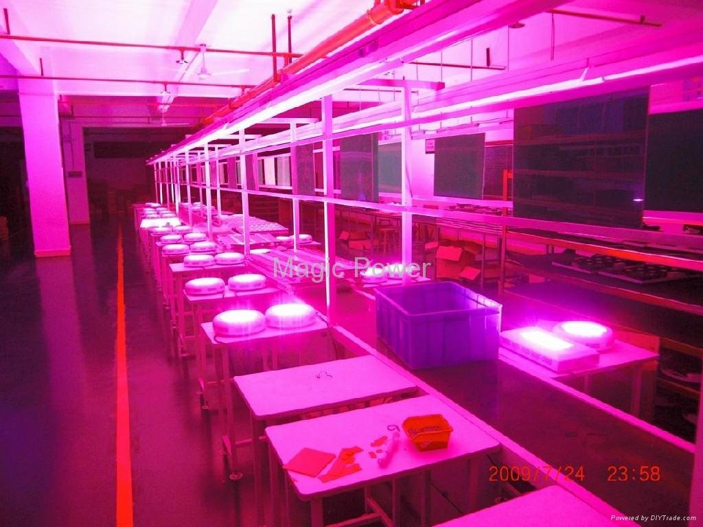 LED grow light/LED high power plant grow light/UFO Grow Lighting 5