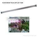 T8-18W Young Plant grow light/LED plant grow light/T8 Grow Light 4