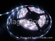 LED SMD RGB 5050 Flex strip Light/LED flex strip/SMD-5050 Flex strip 3