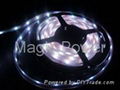 Digital LED SMD Flex strip-5050/LED Digital flex strip/RGB-5050 Flex strip 5