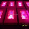 300W LED grow Light/LED plant grow light / LED panel grow Light 4