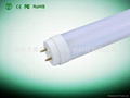 T8LED Tube Light 3