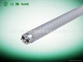 T8LED Tube Light 4