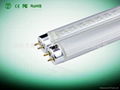 T8LED Tube Light 5