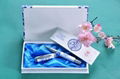 Blue and white porcelain pen