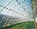 Polycarbonate Triple-wall Hollow Sheet 5