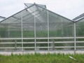 Polycarbonate Honeycomb Sheet 3