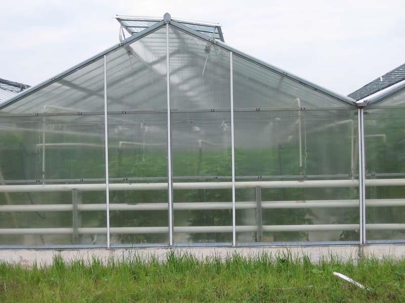 Polycarbonate Twin-wall Hollow Sheet 4