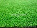 Synthetic turf for landscaping 1