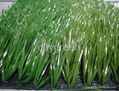 Synthetic grass for football pitch 1