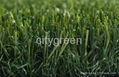 Synthetic grass for pet 1