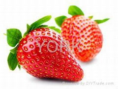 china frozen strawberry