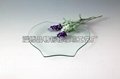 Tempered glass tableware: QingBo Series 5