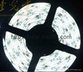 5M White 5050 SMD 150p LED Strip light WATERPROOF12V