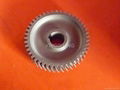 worm gear 1