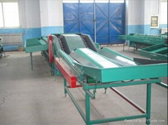 double lane orange, kiwi,peach sorting machine