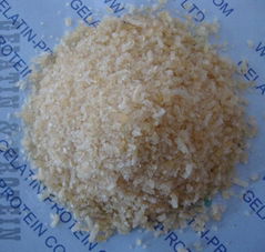 Bone Gelatin for Hard Capsule Manufacturing (GPPG10-089)