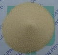 Gelatin (80-280Bloom)  1