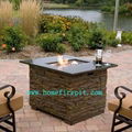 Protable Gas Fireplace 1