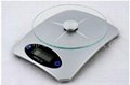 Electronic Kitchen Scale CM-101 2