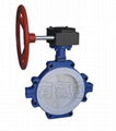 PFA FEP TEFLON PTFE Lined Butterfly Valve