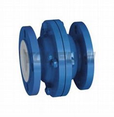 PFA FEP TEFLON PTFE Lined Vertical Lift Check Valve