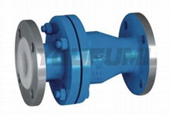 PTFE Lined Swing Check Valve