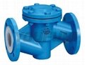PTFE Lined Swing Check Valve 3