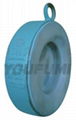 PTFE Lined Swing Check Valve 4