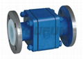 PTFE Lined Swing Check Valve 5