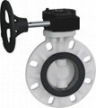 PFA FEP TEFLON RUBBER PTFE Lined Lug Type Butterfly Valve 5