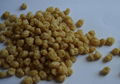 Textured Soya Protein