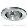 LED Down Light