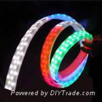 LED Rope Light