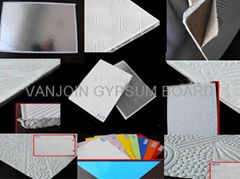 Gypsum board