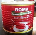 canned tomato paste2.2kgs