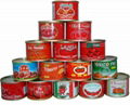 canned tomato paste 70G*100tins on hot sale 1