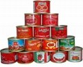 canned tomato paste 70G*100tins on hot sale 2