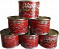 canned tomato paste 70G 2